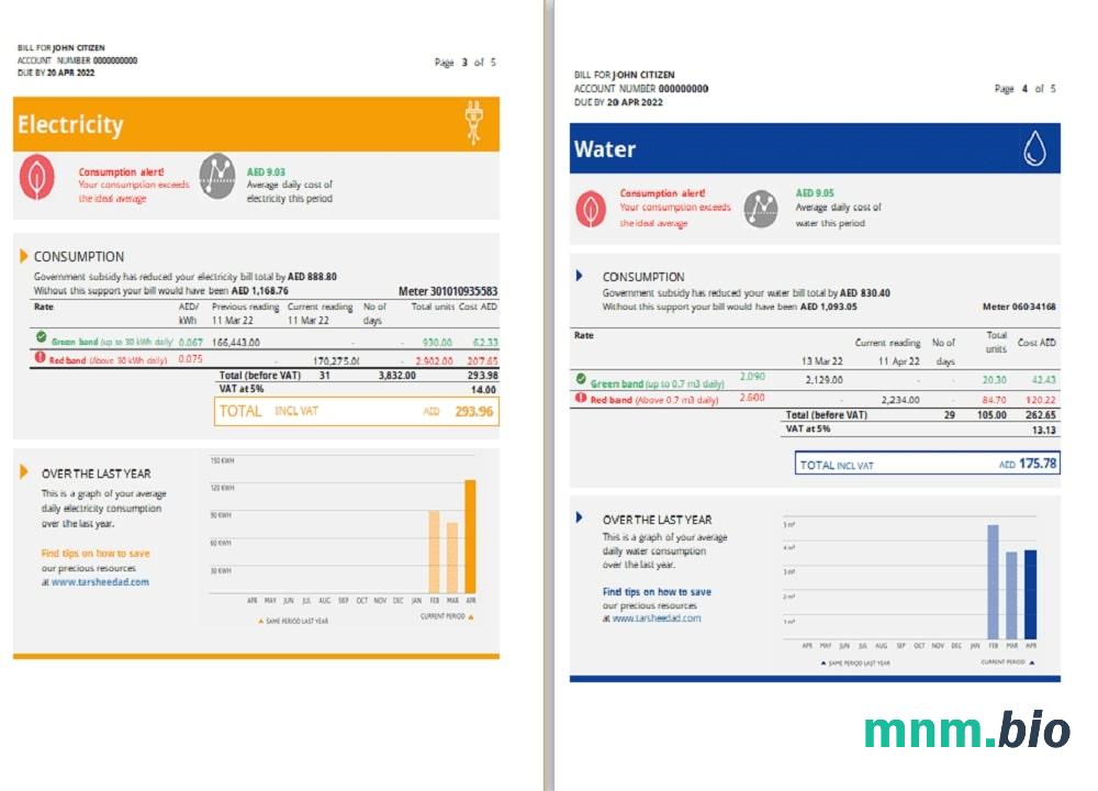 UAE Ras Al Khaimah Al Ain Distribution Co. Szablon rachunku za media Word i PDF (5 stron) 3 4